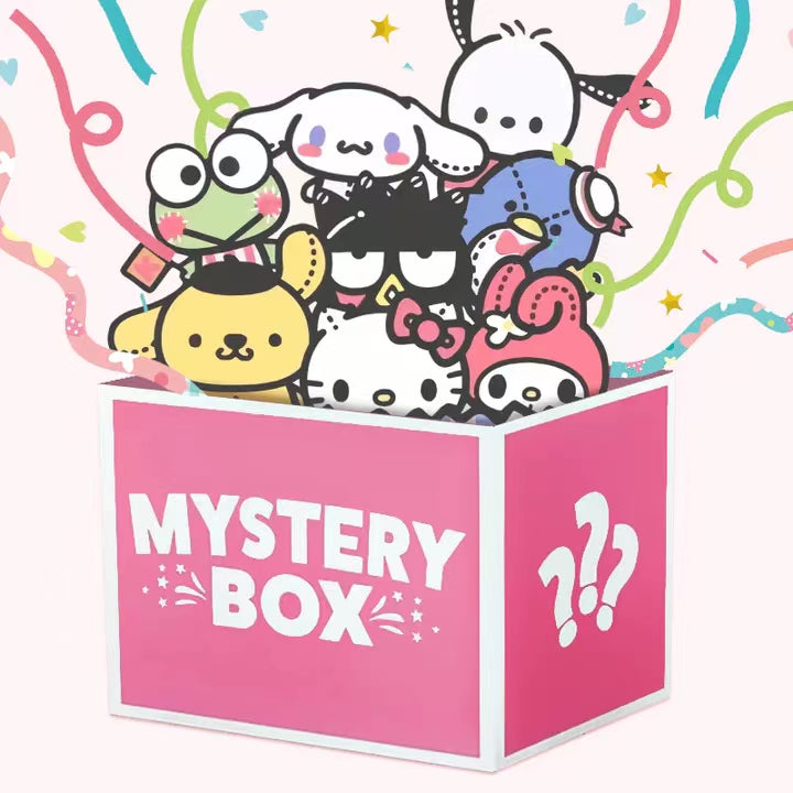 Sanrio Mystery Gift Box – GoodChoyice