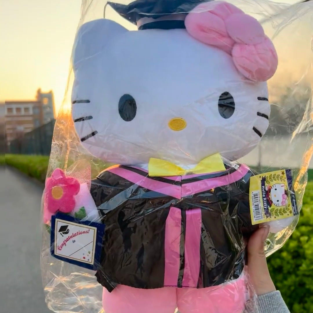 Sanrio Graduation Plush